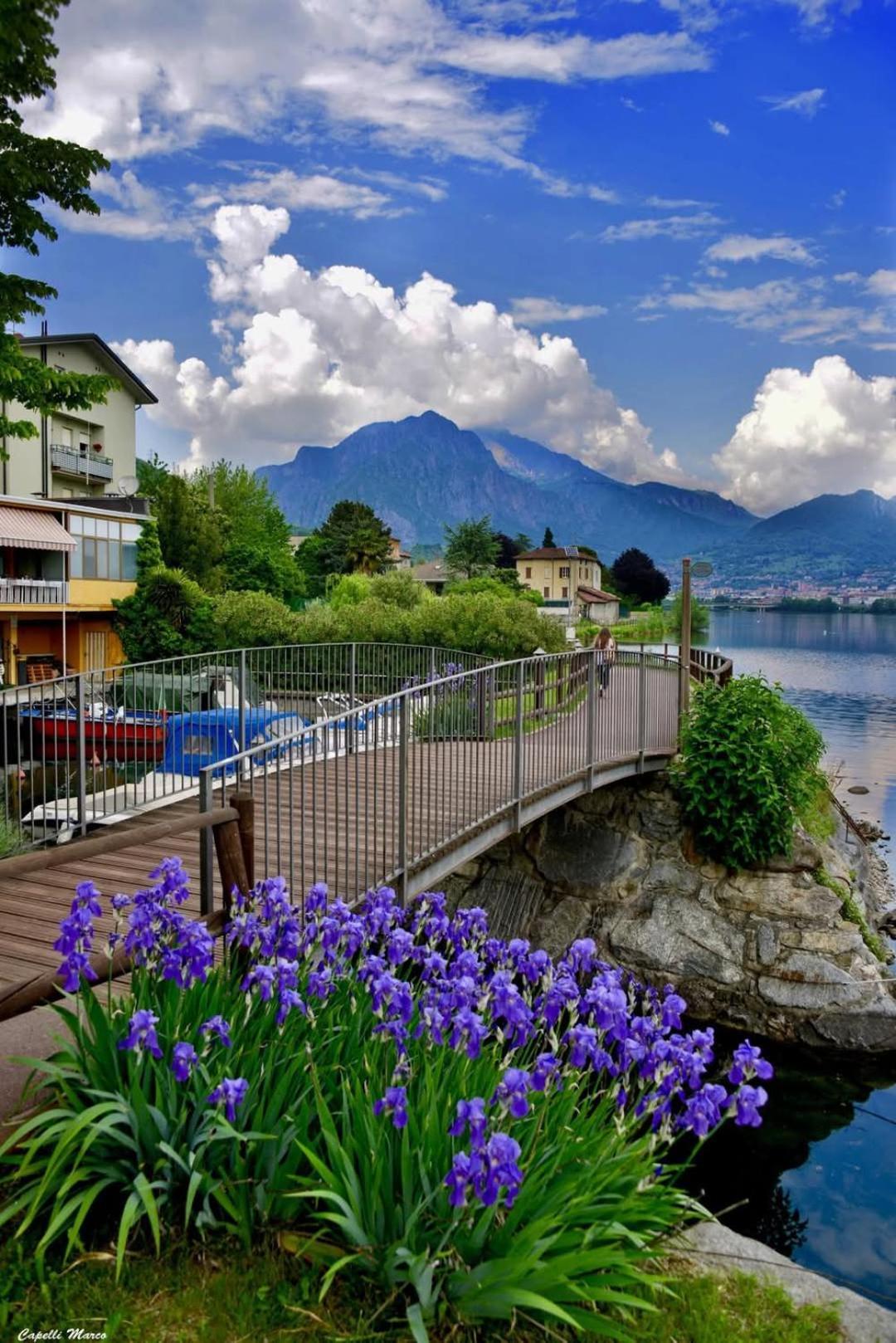 Le Rose Sul Lago Pescate Exterior photo